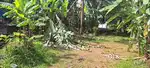 Thirumala 10 cents land for sale,100 meters from Thirumala junction
