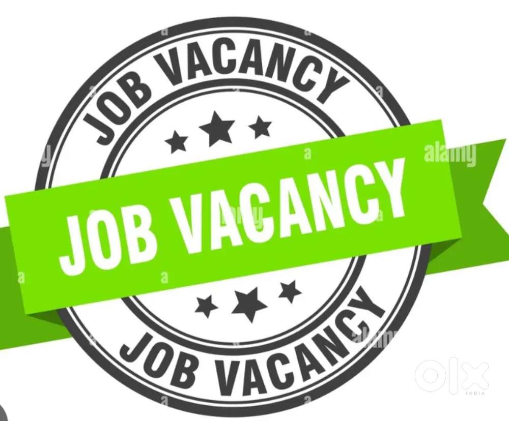 URGENT JOB HIRING FOR FRESHRS