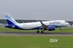 Cabin Crew/ Airport Ground Staff Jobs in Indigo airlines.