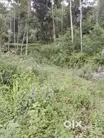 General land for sale
