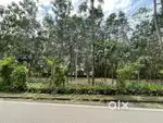അങ്കമാലി ടൗണിനടുത്ത് ROAD FRONTAGE ആയി 75 സെൻ്റ് ഭൂമി വില്പനക്ക്