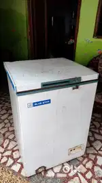 Blue Star 100 Liter Deep Freezer Single Door (95 Ltrs, White)