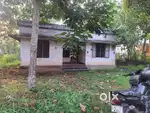 Keezhilam.mc road 900 meter 5,6 cent houseplot 1.8 lak per cent