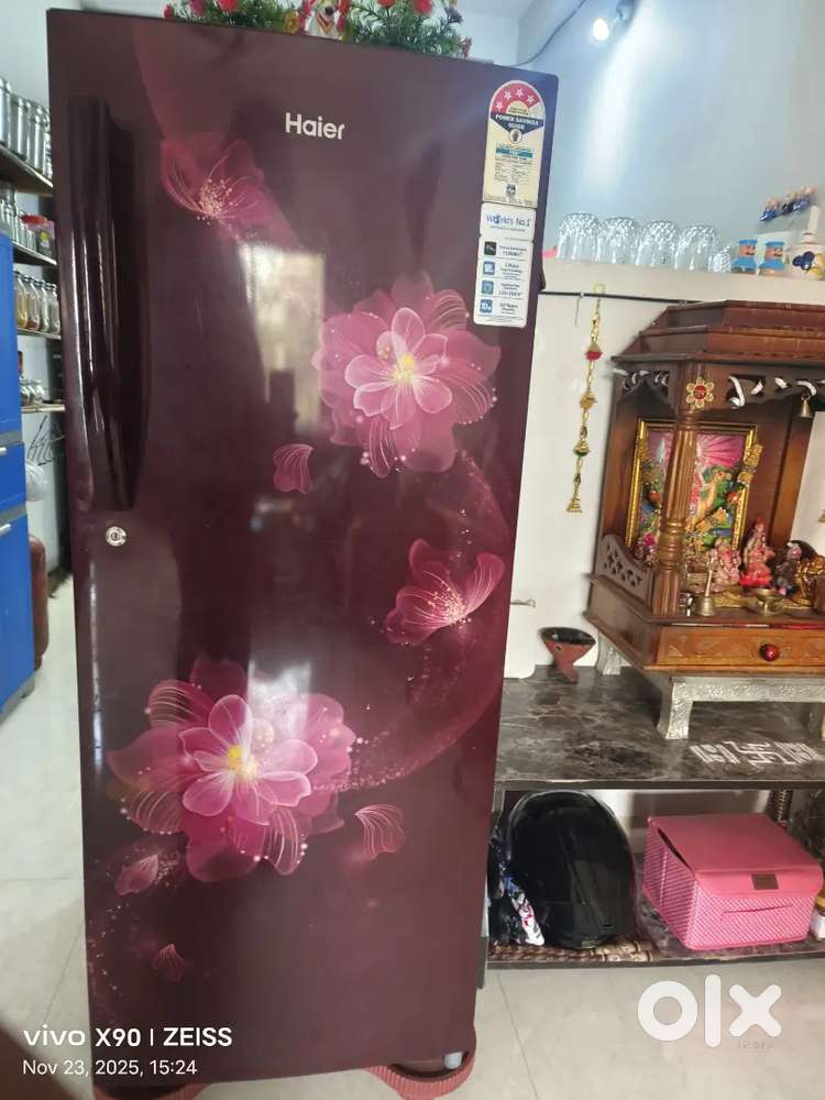 Hair company Refrigerator -220 L