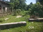 Naharkatiya nogaon
