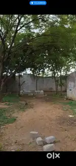 Land for Sale  1146 Sq Yards  Pahade Shareef Mamidapally