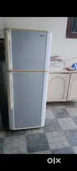 260 leter dubbal door fridge