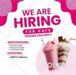 Job Vacancy: Staff Required for Cafe: Fresher can Apply