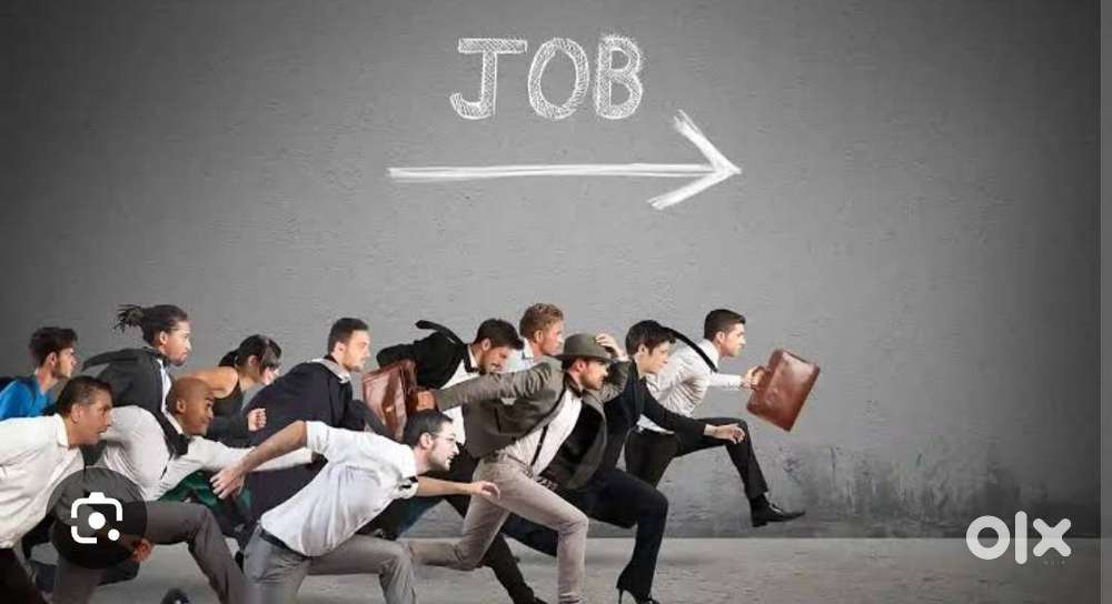 Looking for fresher’s ‘who ready to work with us