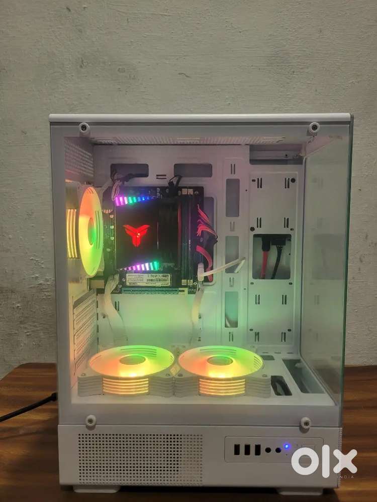 Box peck Full new working stap
One day old