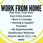 Online work from home with international project