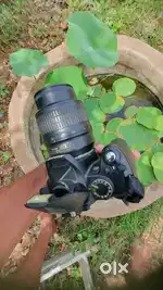 NikonD3000