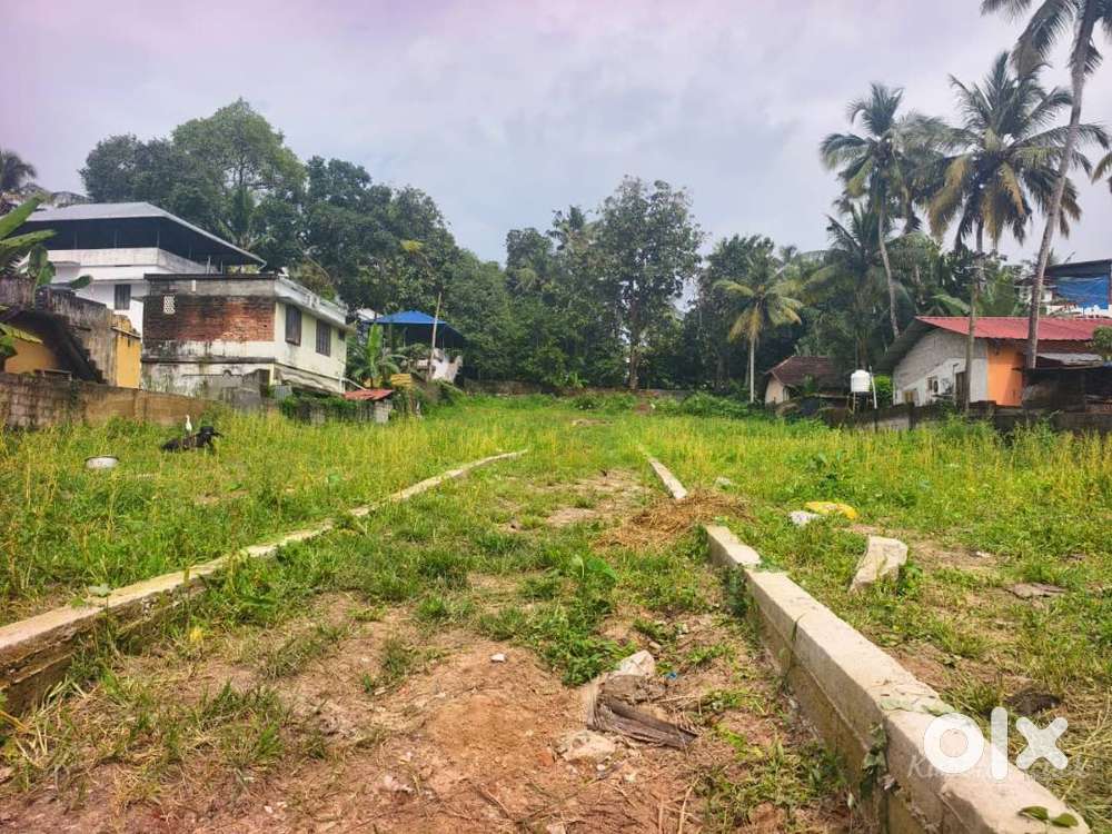 IDK-232286 Plottable 40 Cent Dry Land For Sale At Ulloor