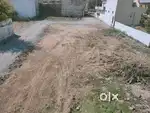3 road plot at bansagar colony( 3 more plots are also available)