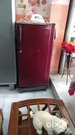 Kelvinator 165 l