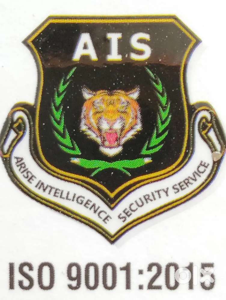 Arise Intelligence Security service