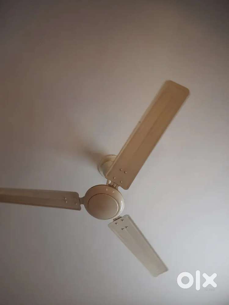 Fans for sale ( 2 fans price 2900)