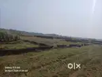 INVESTMENT LAND