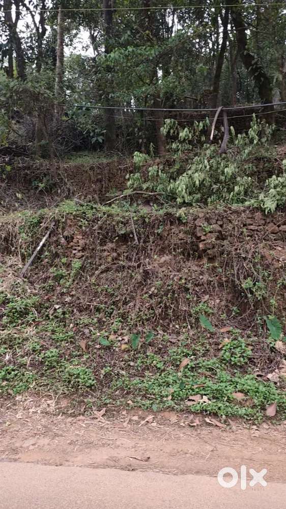 Good land good locatiom