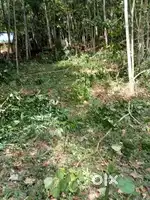 18 cent clear tittle land