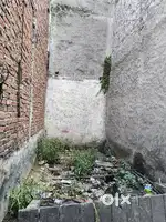 Commercial plot
