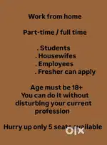 Work from home students housewifes and job person