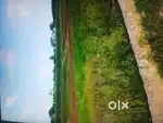 Rate 650 sqf trant bana kar rahne layak plot