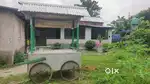 Ice gola car and machine