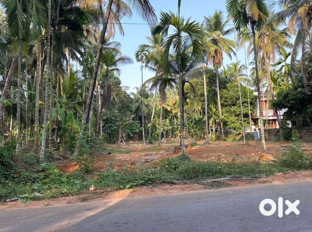 21 cent Square plot for sale between Aroor & Theekuni road