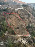 Property for Sale at Shimla (kotkhai)
