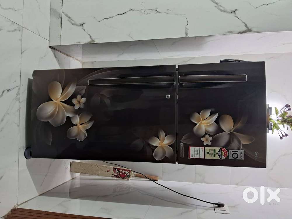 LG Invertor linear compressor,works with stabilizer 100V-290V