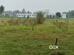 Conversion Land for Sale 1.3 acre East Facing