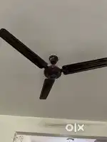 Orient ceiling fan