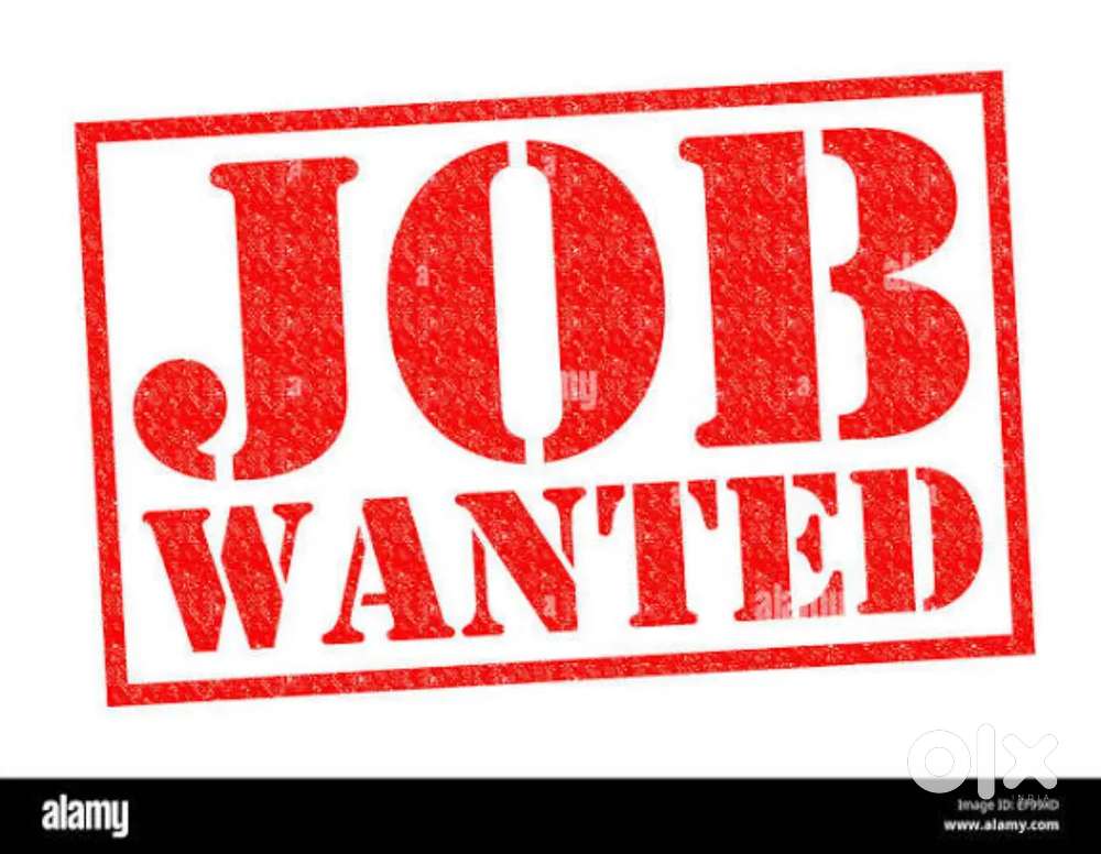 Need A full Time Job in Thampanoor Qualification Plus Two