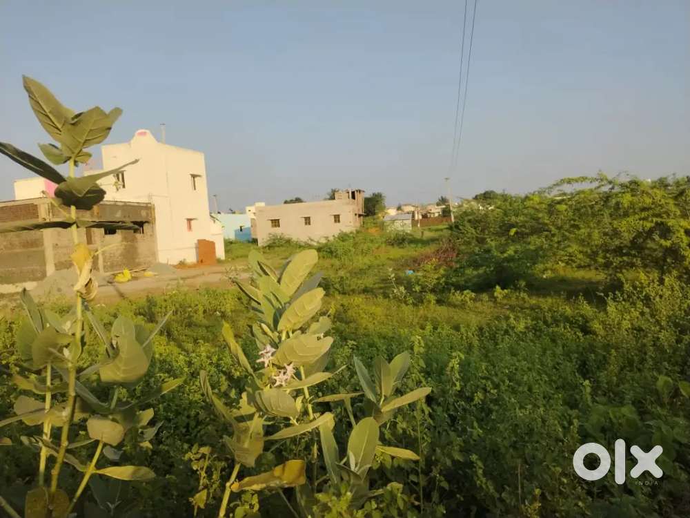 Malaipatti land sale