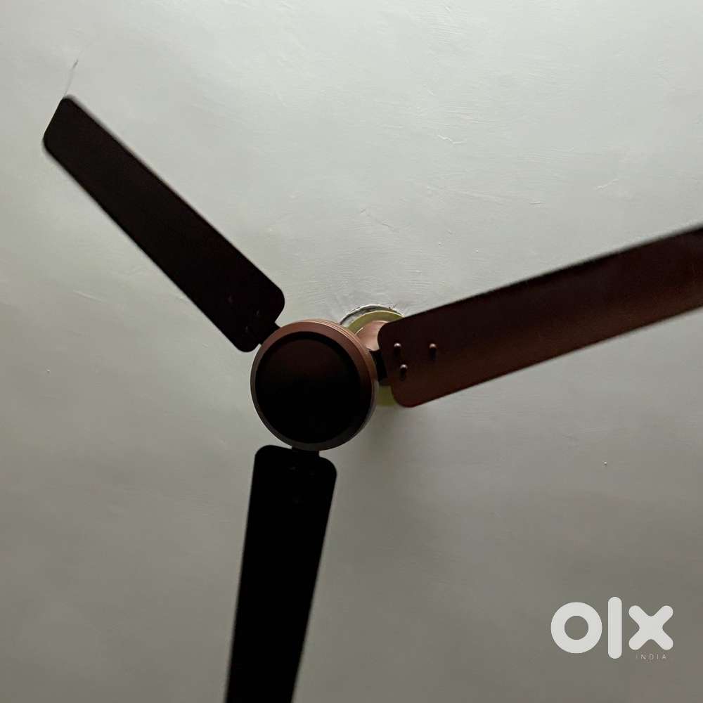 4 Crompton Ceiling fans