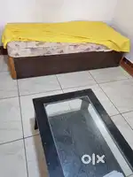 Diwan bed with Curl On Mattress