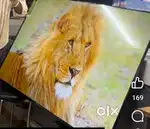Lg webos 43*q led wholesale