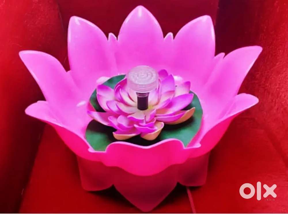 Water kamal Laddu gopal