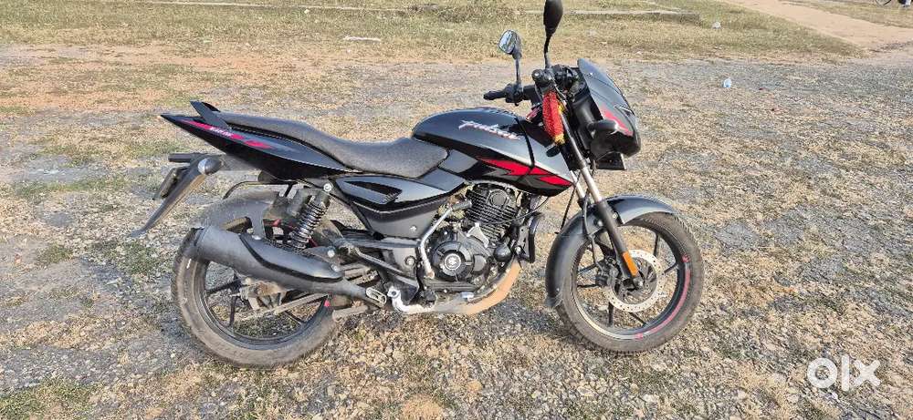 Brand New Pulsar 125 With Front Disc ( 9 Months Old Only )