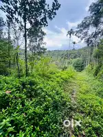 ബത്തേരി റിസോർട്ട് നിർമ്മിക്കാൻ അനുയോജ്യമായ2ഏക്കർ സ്ഥലം വിൽപ്പനയ്ക്ക്