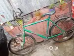 Hero Green Bicycle – Sturdy & Classic Model