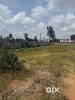 Babina me main road par plot sell for shop etc