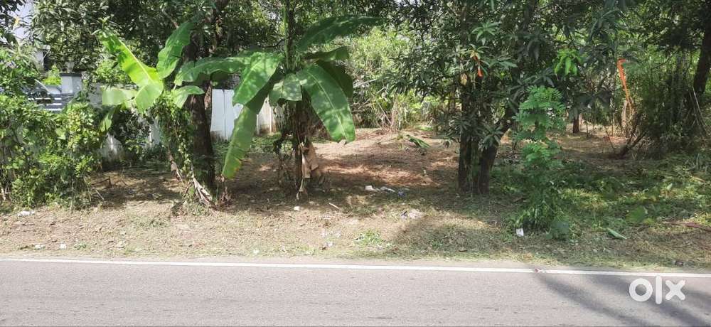 10.75 Cents Land (Purayidam) for Sale at Thrissur