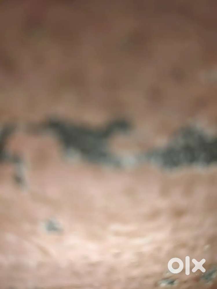 Redi te km krn lyi ldkaa chaida salary ch vdd ght hoju gll krn tee