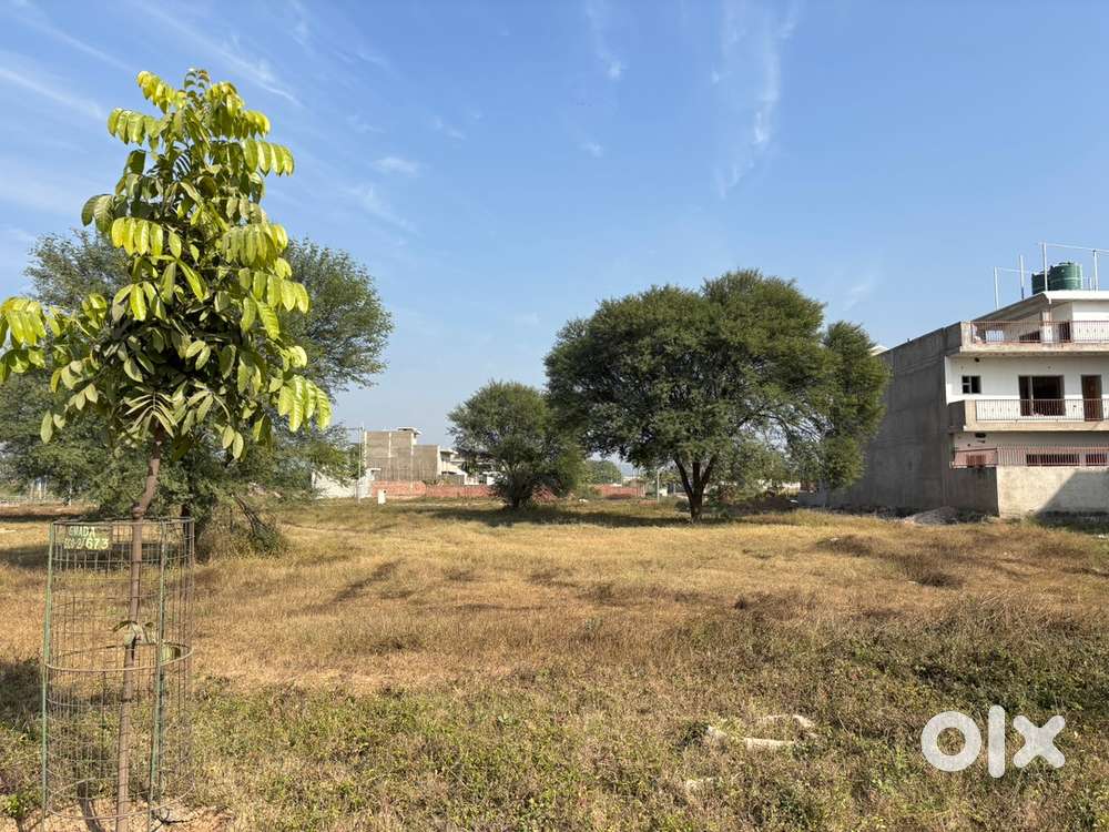 100 Sq Yards GMADA EcoCity 1