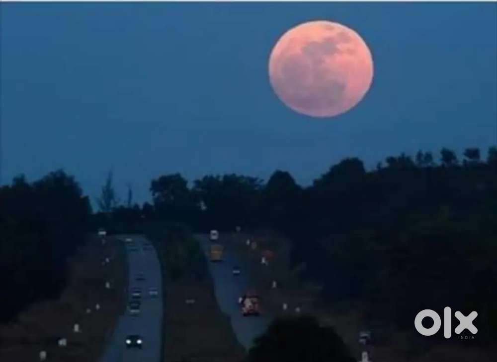 Required Web Developer