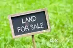 14 marla plot sale  near baghe bhour park(nits polytecnic )
