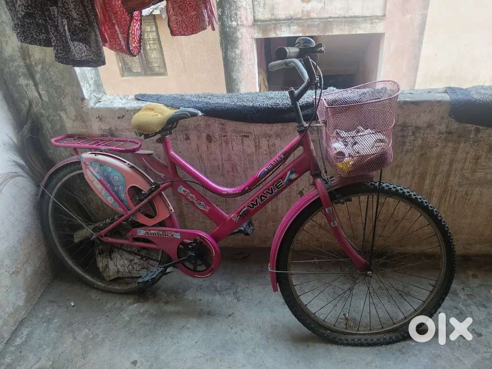 Bicycle Ladybird ambica