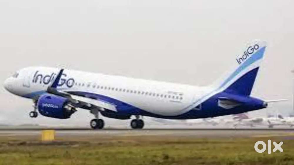 Urgent Hiring For Ground Staff Jobs opportunity in Indigo Airlines